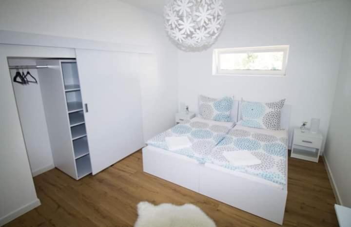 Apartment Panziozoenik *
